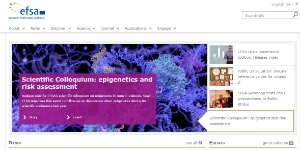 Young Professionals Young Professionals